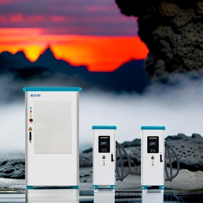 AC 380V 50/60H 듀얼 EV 충전자 공공 태양광 급전전지