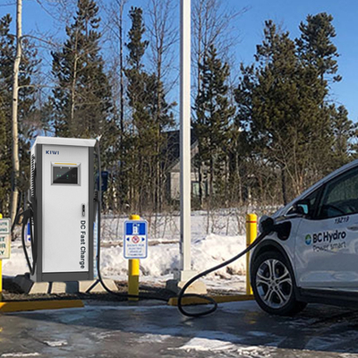 바닥에 서있는 가정용 DC 충전기 EV 60KW 1000V 3 핀 CCS2 BYD에 적용합니다 Han EV Qin Song