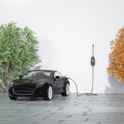 플러그 충전 및 단열 감지 장치와 함께 벽에 장착 된 단일 단계 3.5kw 휴대용 EV 충전기